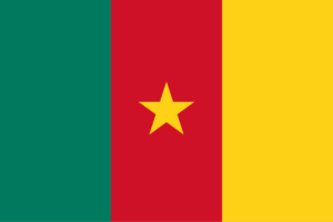 Workforce Hiring in Cameroon