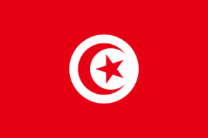 Workforce Hiring in Tunisia