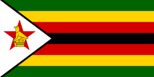 Workforce Hiring in Zimbabwe